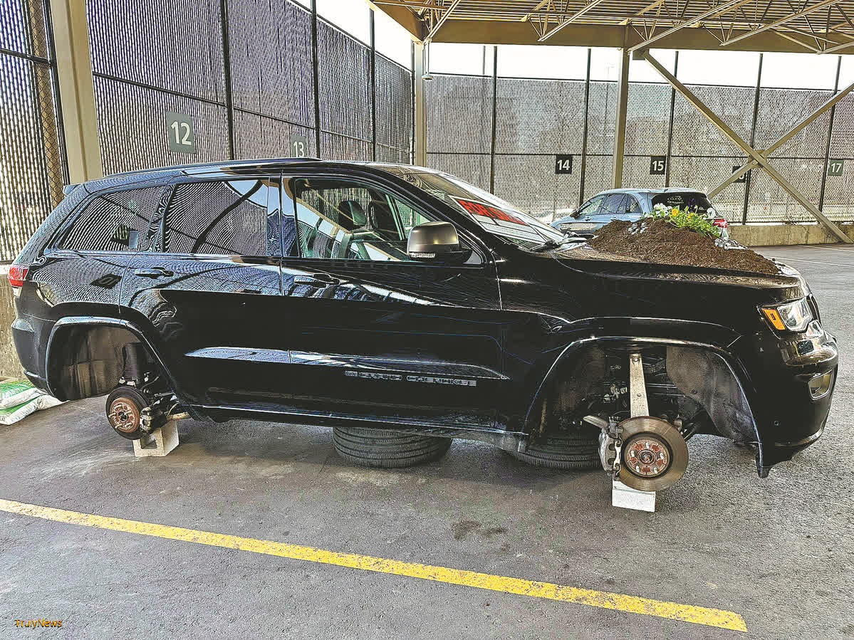 Fleury has last laugh after prank war gets wheely Wild