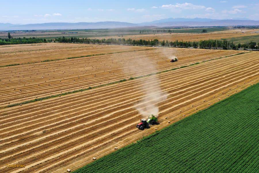 China’s new quality agricultural productive forces to be fully developed: report