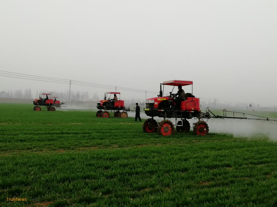 Shandong at the forefront of agricultural innovation