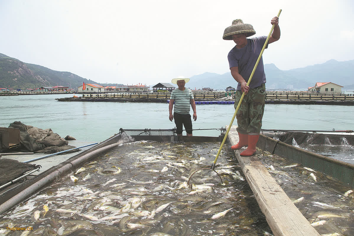 Fujian takes the lead in exploring macro food concept