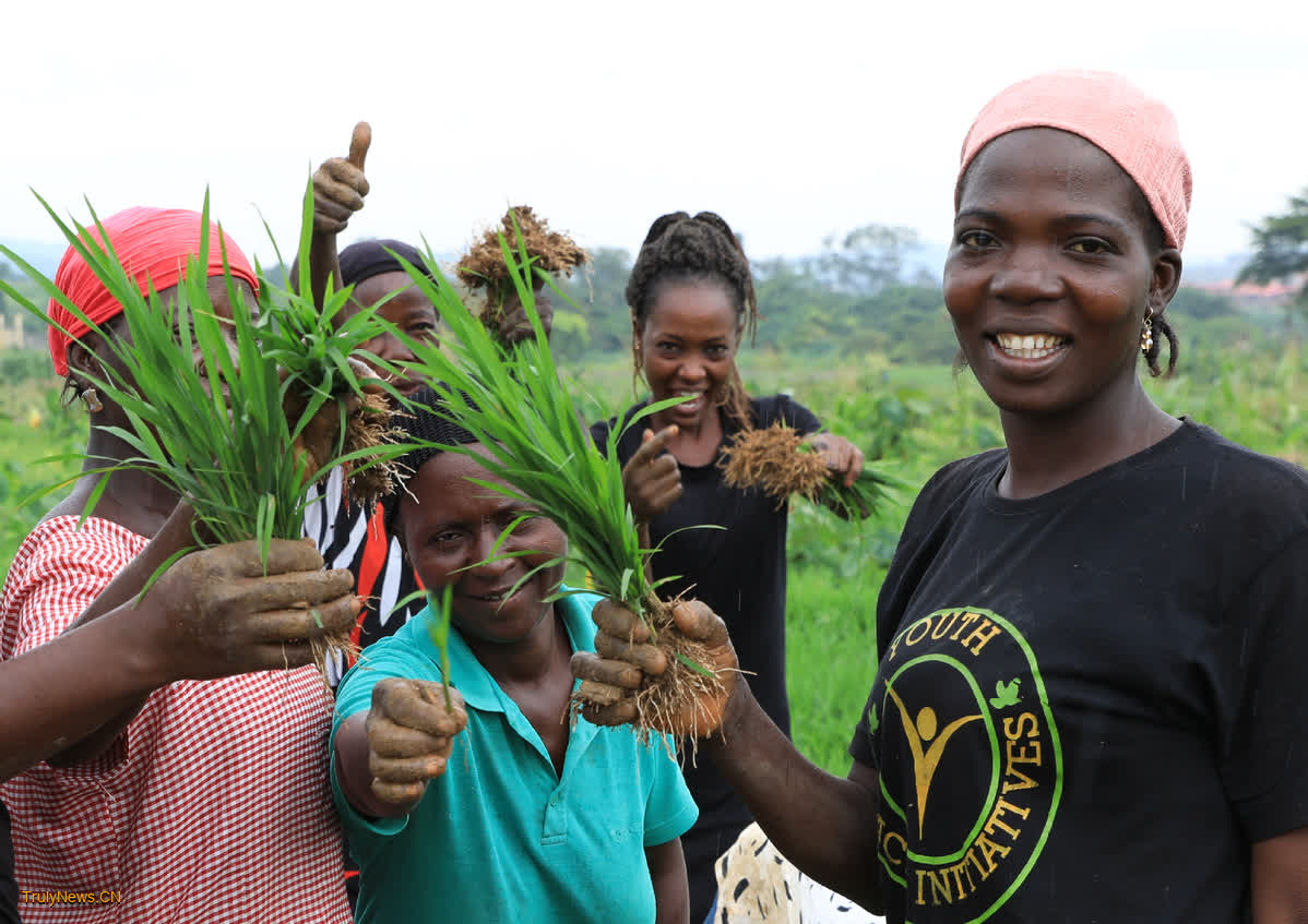 African agriculture thrives on Chinese tech, market access