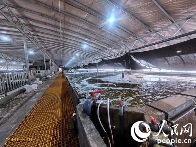 Inland seafood farming thrives in Zhangye, NW China’s Gansu Province