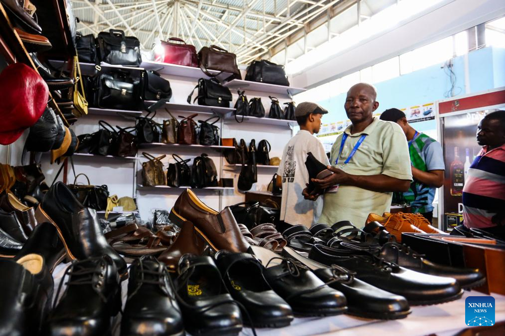 Feature: Chinese products at Tanzania’s trade fair create new business opportunities