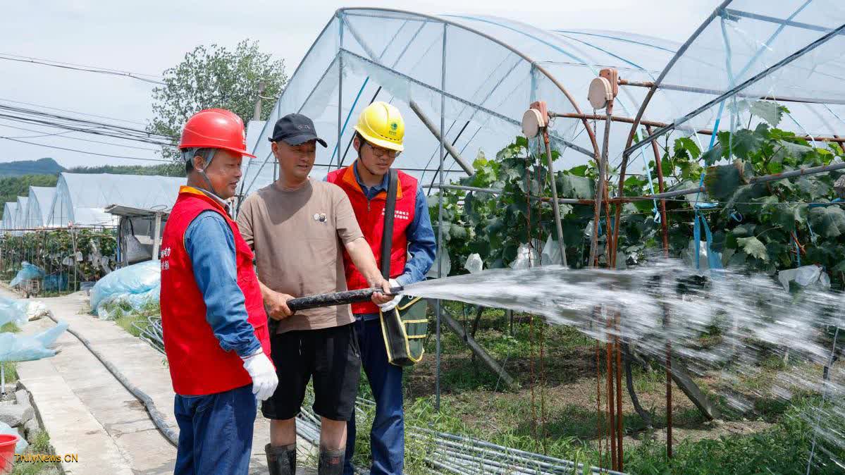 State Grid’s services increase sweetness of grapes