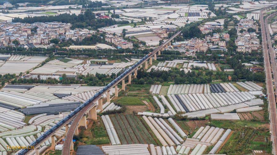 China-Laos Railway facilitates fruit transport