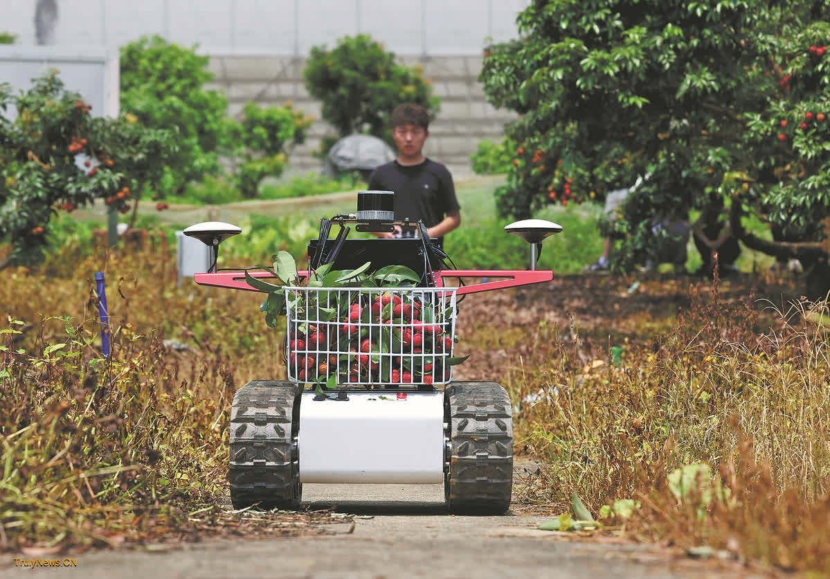 Lychee freshness sees quantum leap