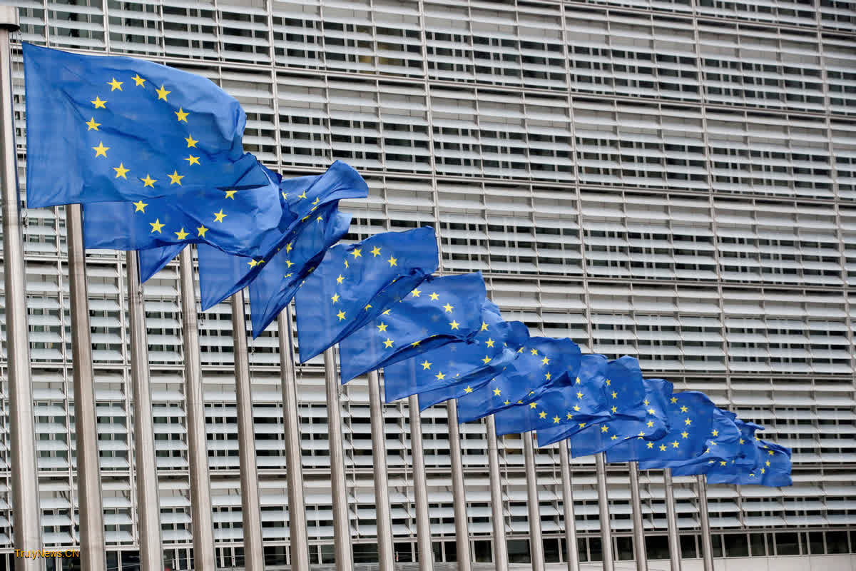 Probe into possible EU protectionism justified