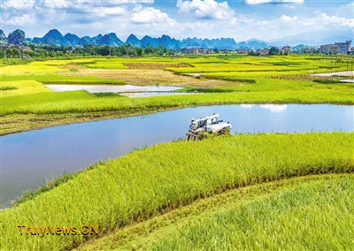 Agricultural machinery facilitates farming activities across China