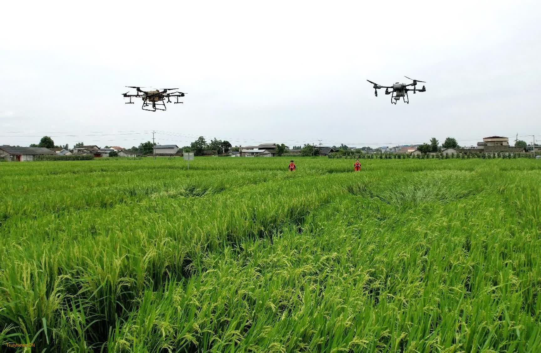 Low-altitude economy widely applied across industries in China