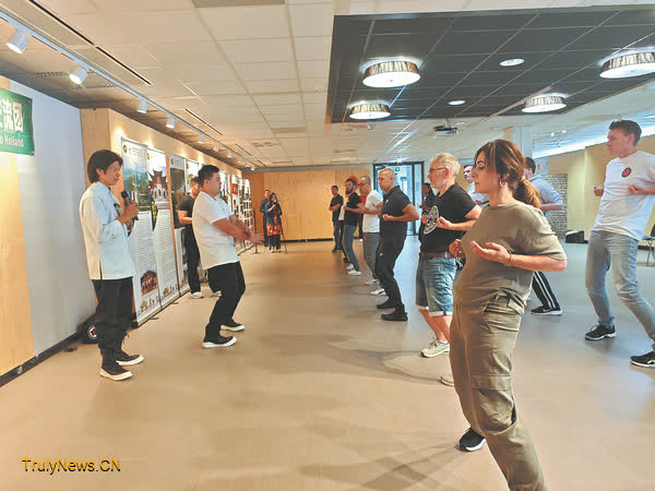 Dutch enthusiasts get a kick from martial arts