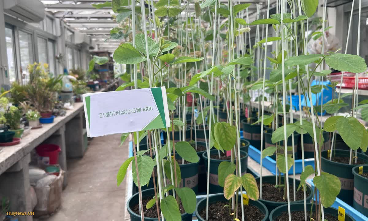 Endeavors to grow soybeans in space may bear fruition, says Hong Kong biologist