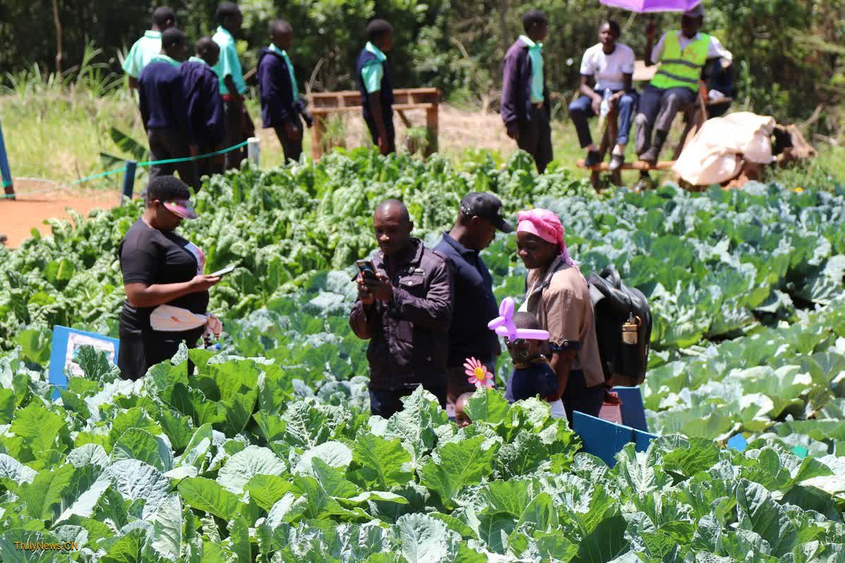 Smart agriculture to help Africa fight climate change