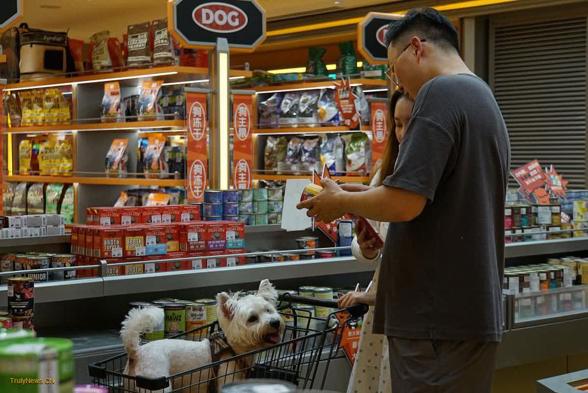 Businesses see success in China’s pet sector