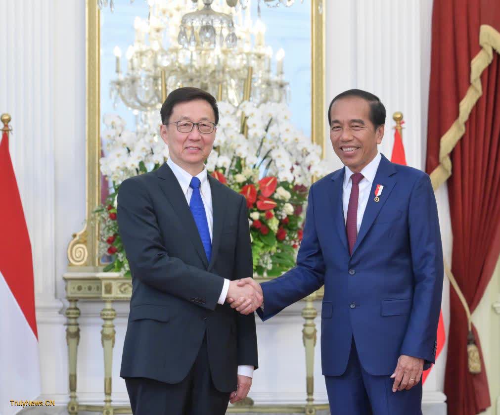 Chinese vice-president meets with Indonesian President Joko Widodo