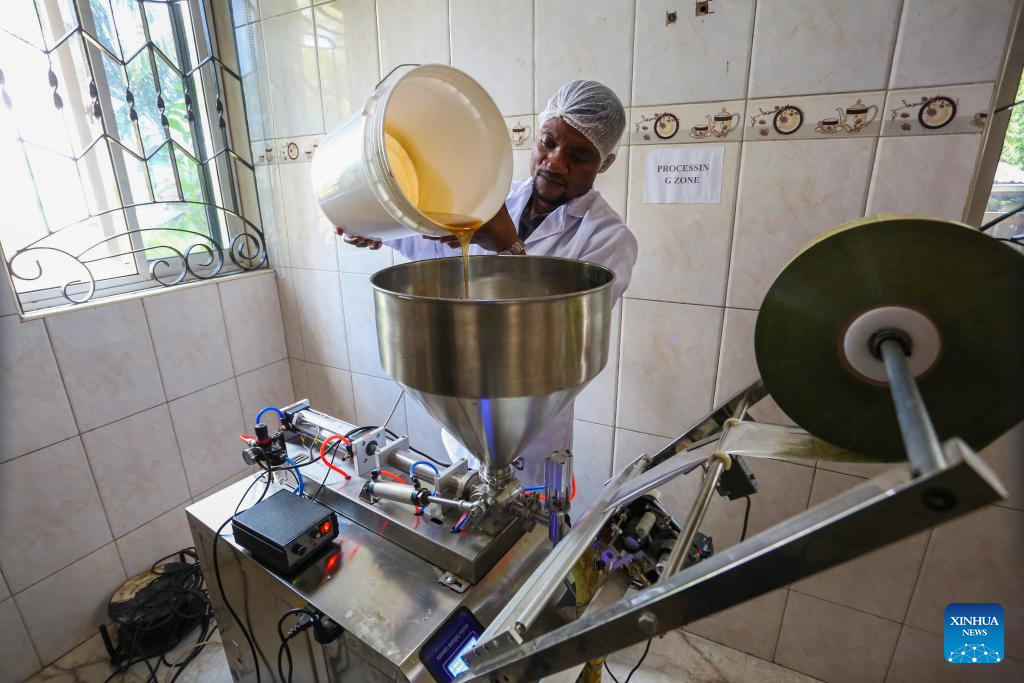 Feature: Tanzania’s honey firm poised to access China’s mega-market through 7th CIIE