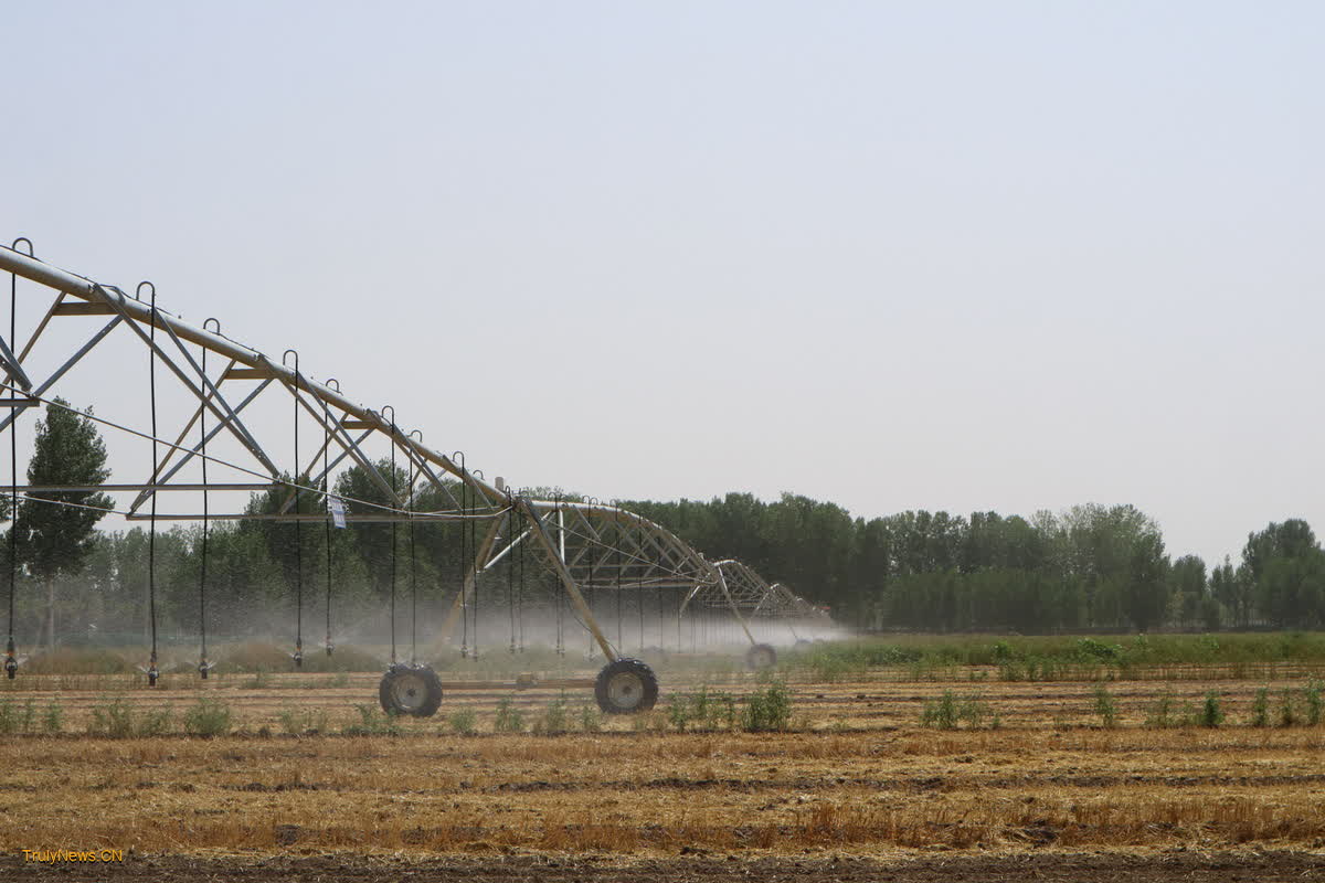 Smart agriculture in Juye makes farm field management ‘easier’