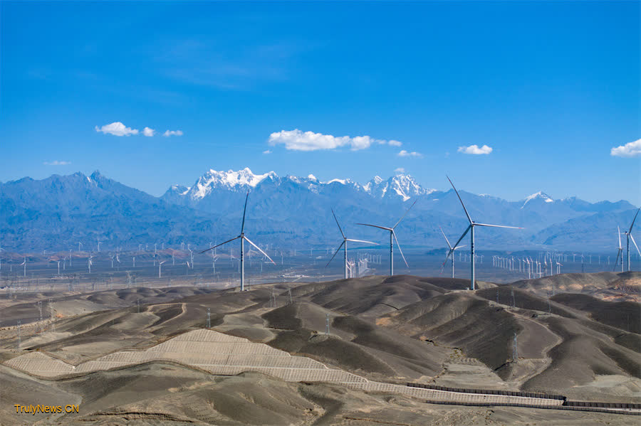 State utility gives helping hand in Xinjiang’s green transition