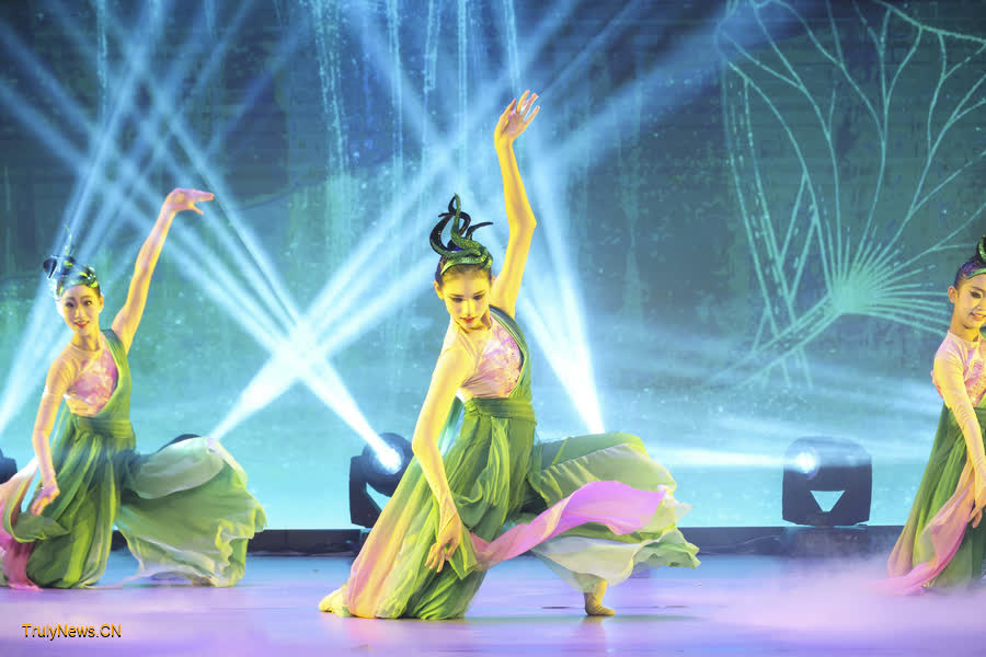 Dance gala celebrates culture