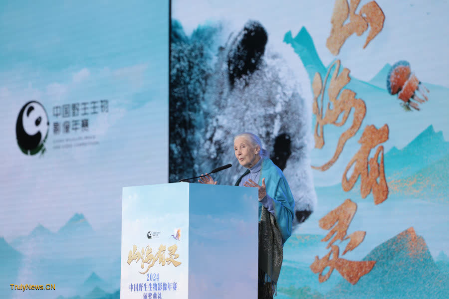 Winners of China Wildlife Image and Video Competition unveiled