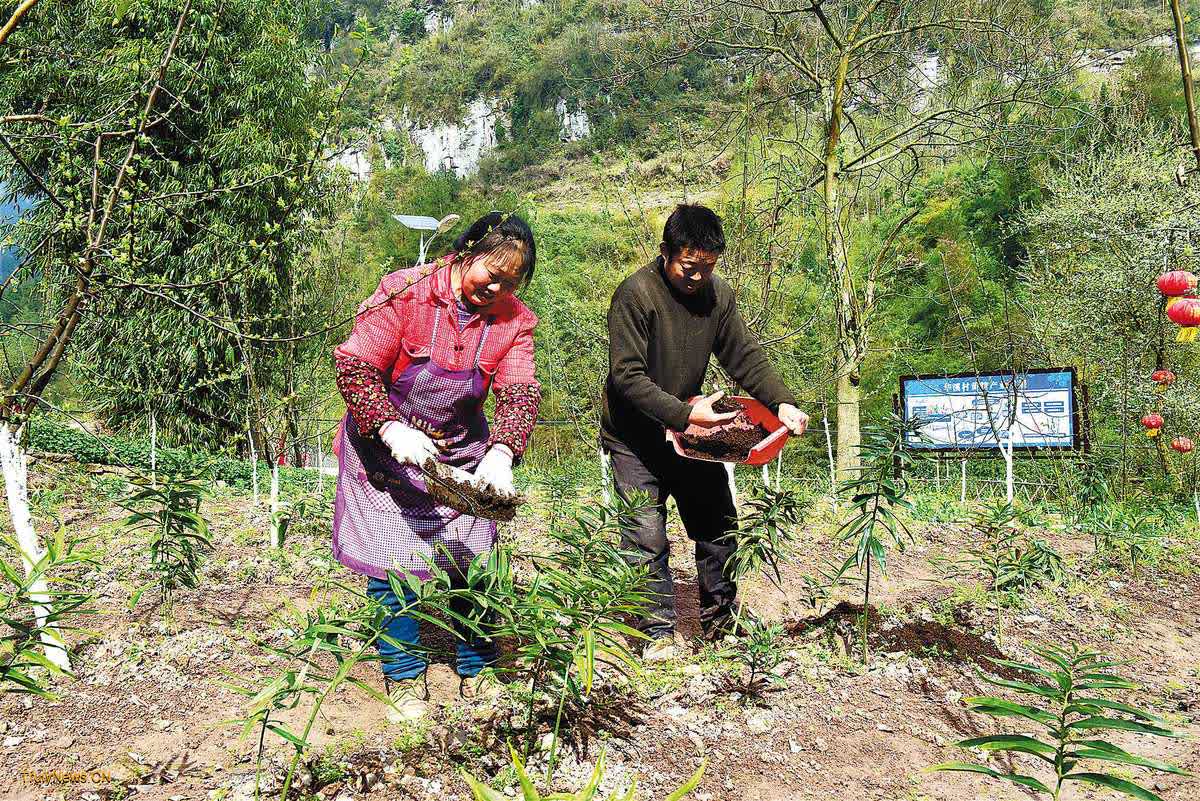 Award-winning rural village becomes model of transformation