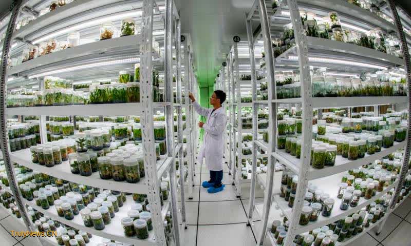 China’s modern crop germplasm resources bank becomes operational, meeting 50-year strategic preservation demand: ministry