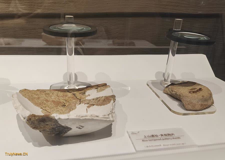 Traces of 10,000-year-old rice beer found in east China