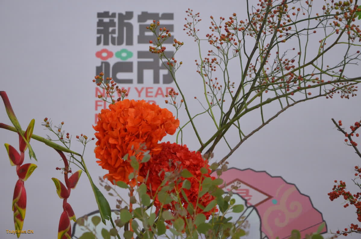 Shanghai Expo Culture Park unveils festive New Year flower market